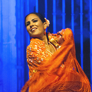 Flamenco Arcos de la Frontera