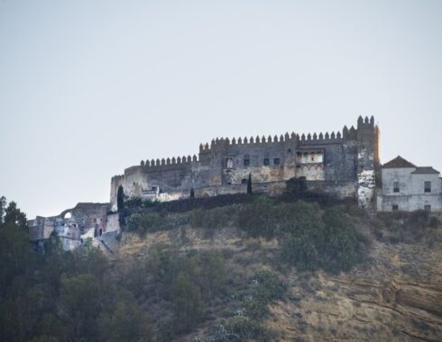 Castillo Ducal