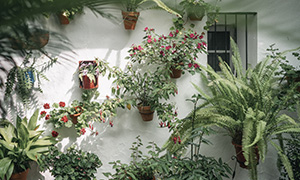 patios Arcos de la Frontera