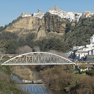 Puente de San Miguel