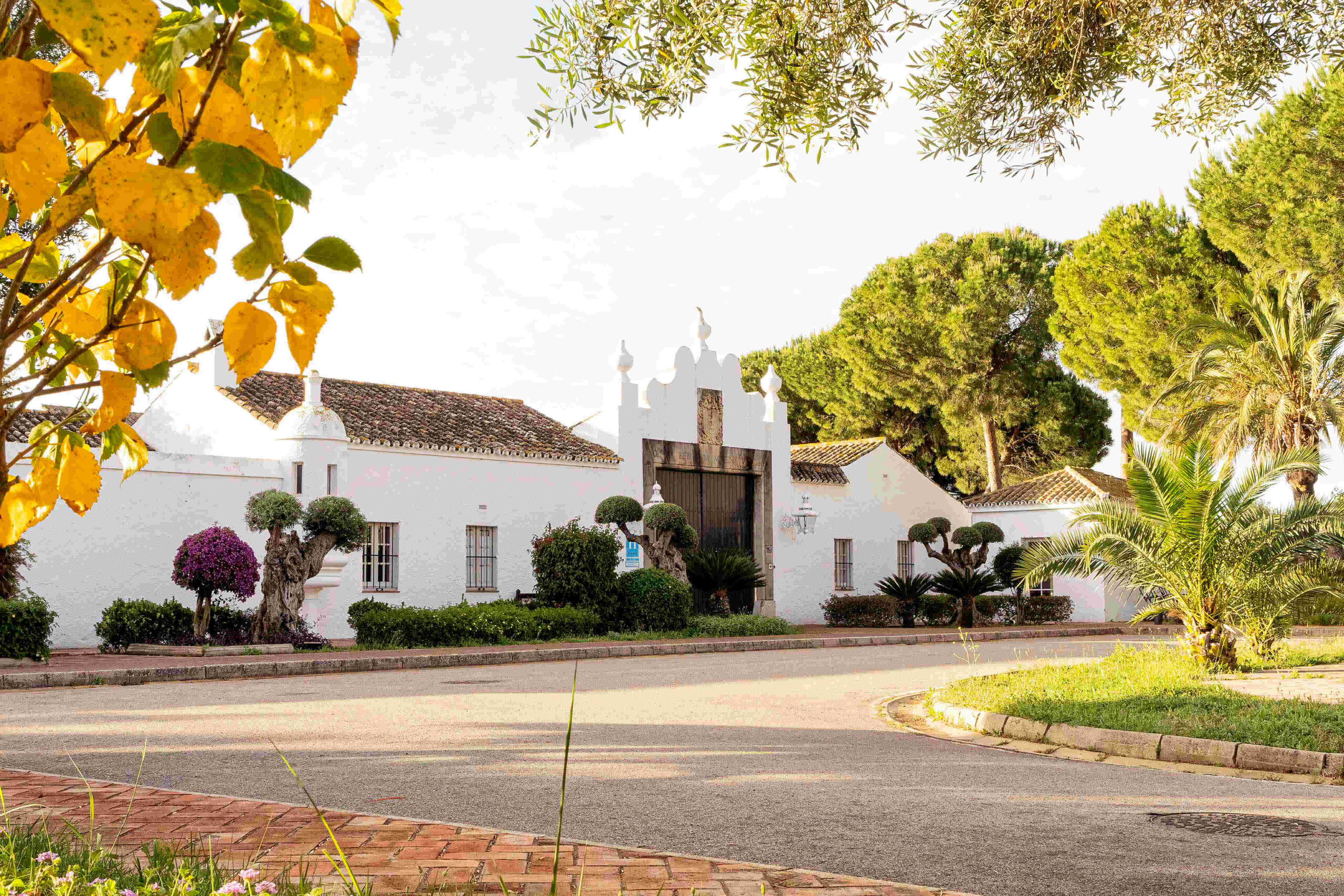 Restaurante  Arcos Golf Hotel Cortijo Fain y Villas