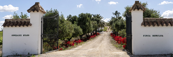 BODEGA “Finca Moncloa” (Grupo González Byass)