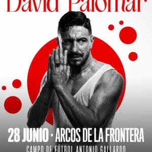 David Palomar en concierto