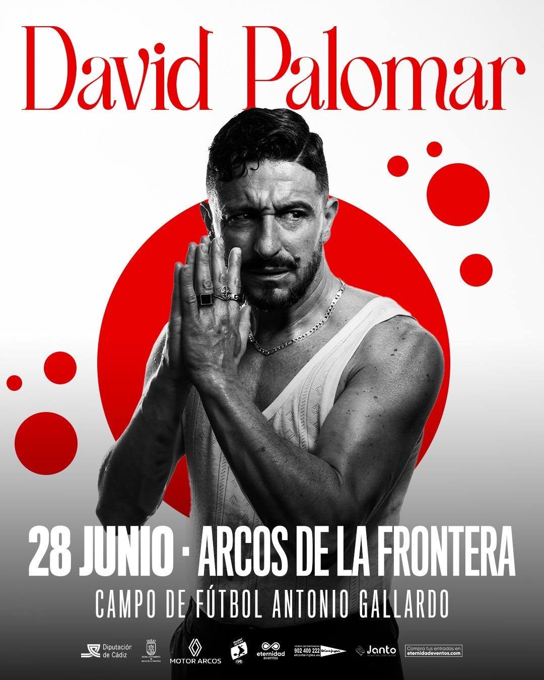David Palomar en concierto