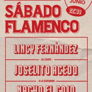 Disfruta de todo un espectáculo flamenco en un enclave único