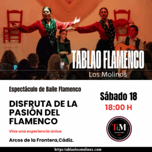 Disfruta de un espectáculo de baile flamenco único.