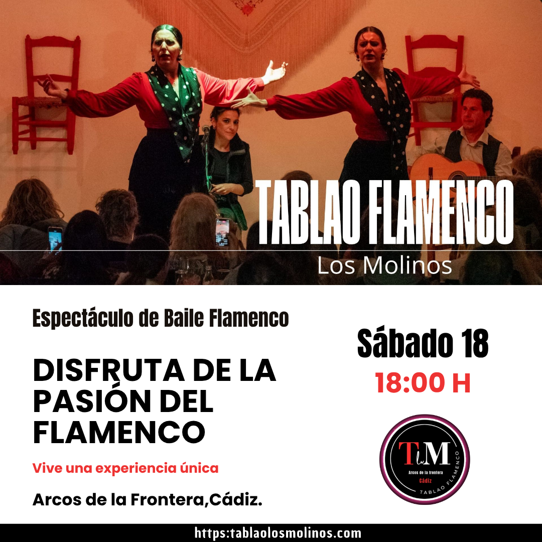 Disfruta de un espectáculo de baile flamenco único.