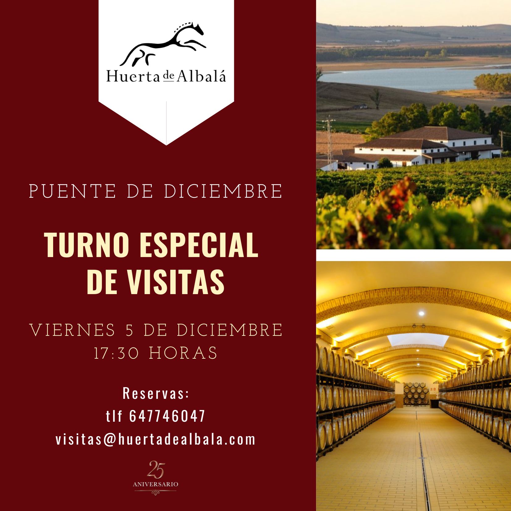 Para el puente de Diciembre la Bodega tendrá turno especial de visitas. Anímate