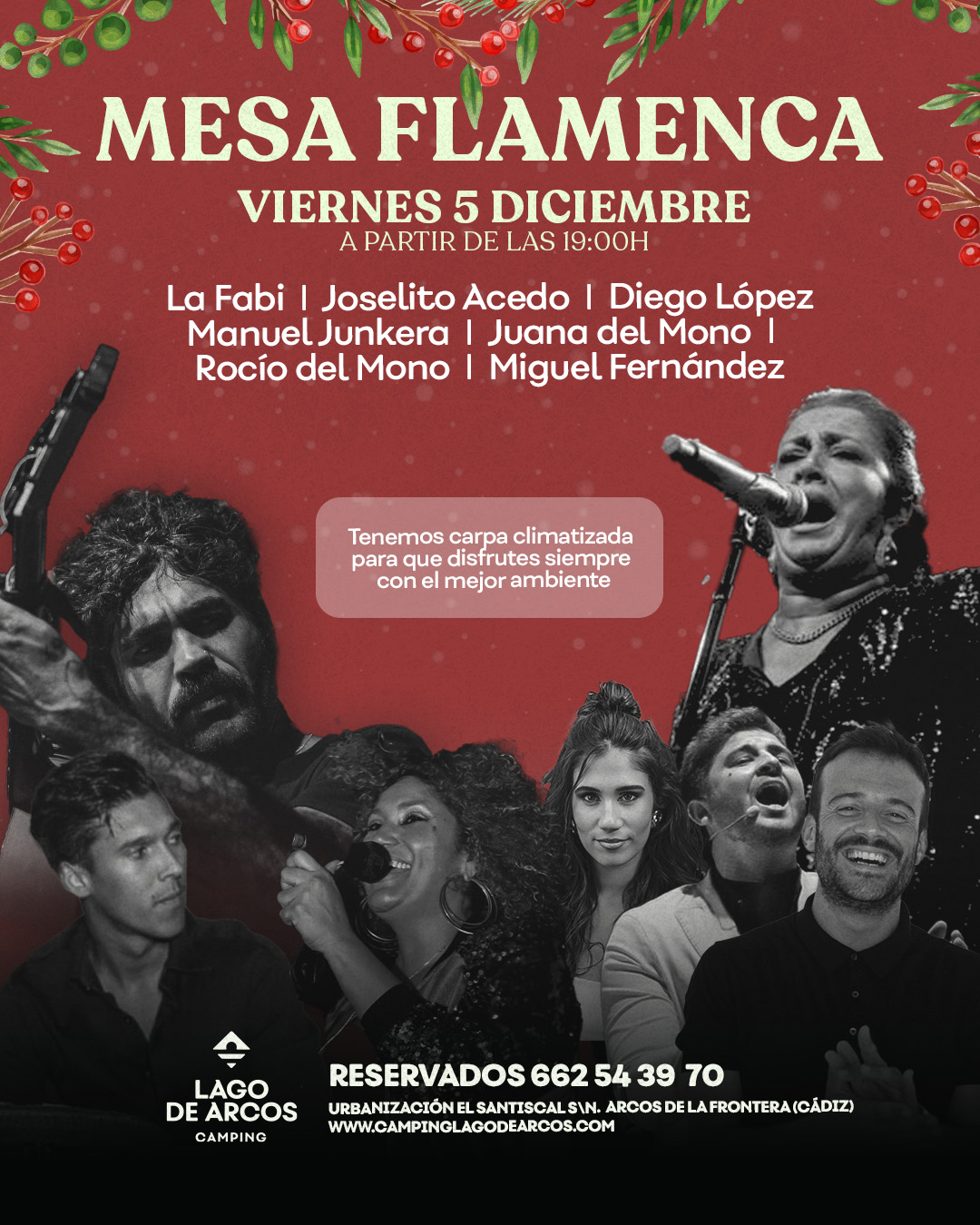 Ven a disfrutar del Flamenco