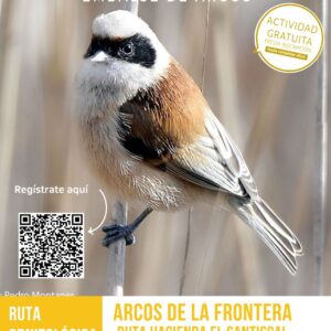 Apúntate a disfrutar de la cola del embalse