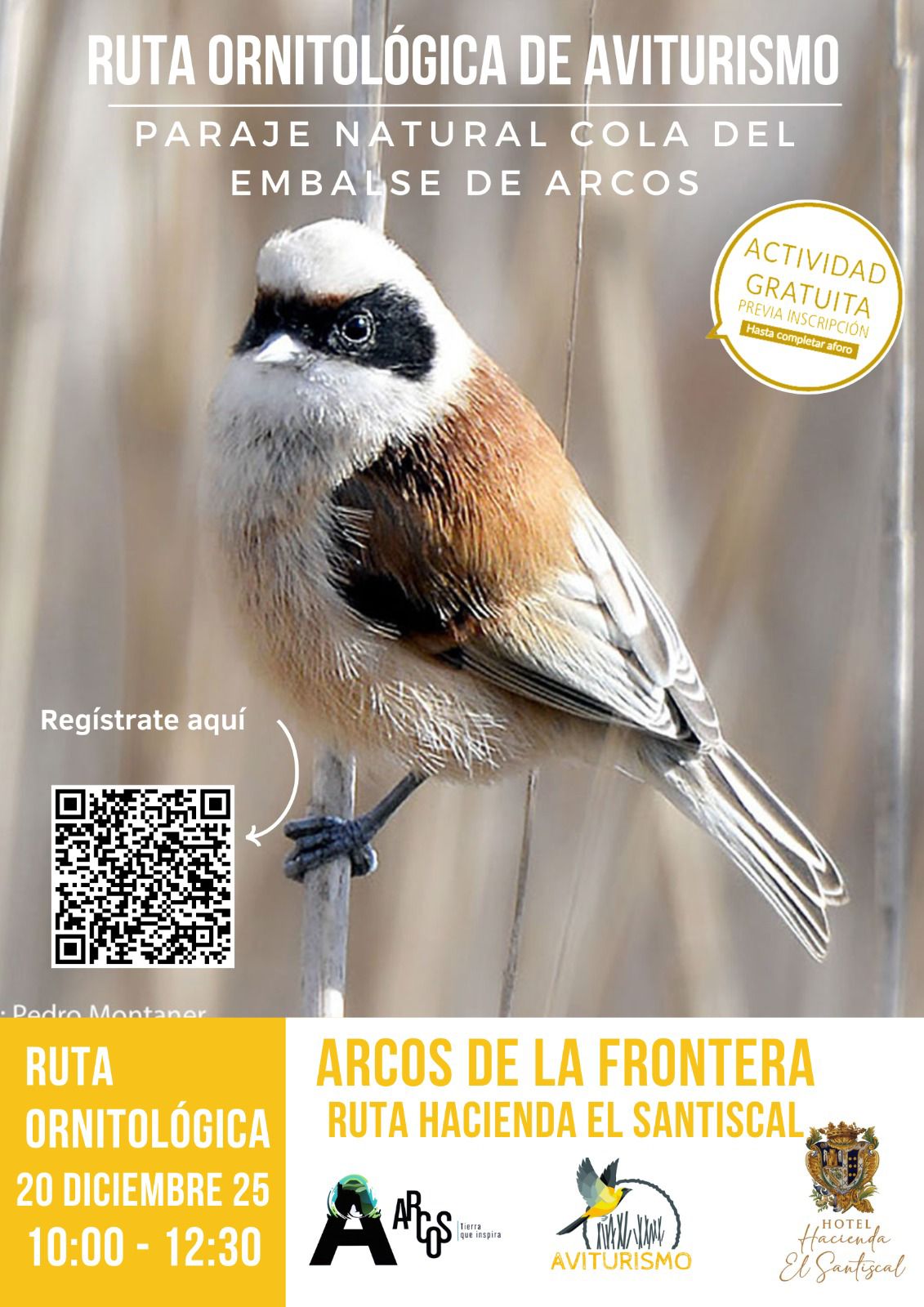 Apúntate a disfrutar de la cola del embalse