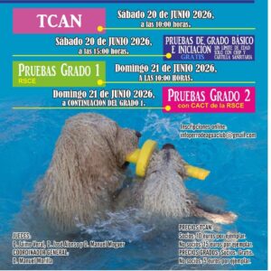 La cita se desarrollará el sábado 20 de junio en las instalaciones del Club Náutico del lago de Arcos, un escenario que volverá a acoger una competición ya consolidada dentro del calendario de esta raza canina.