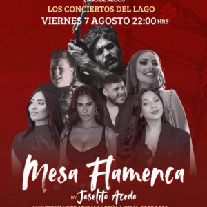 UN AÑO MAS SE CONVOCA ESTA MESA FLAMENCA EN EL CAMPING DE ARCOS DE LA FRONTERA
