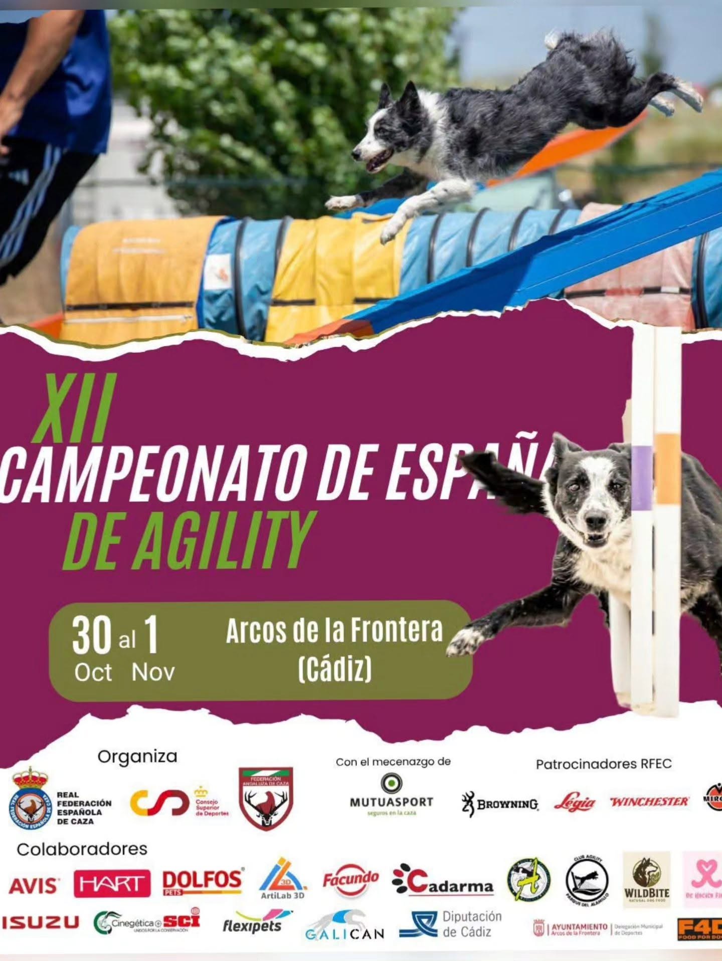 El XII Campeonato de España de Agility organizado por la Real Federación Española de Caza (RFEC) se celebra del 30 de octubre al 1 de noviembre de 2026 en el Campo de Fútbol El Santiscal de Arcos de la Frontera (Cádiz)