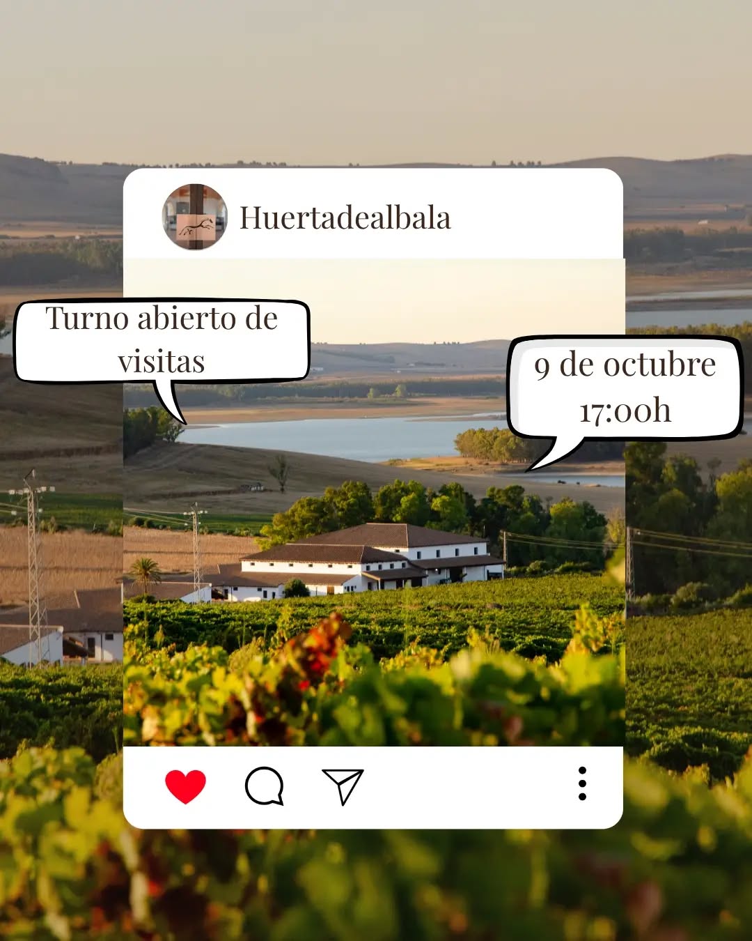 Turno de visitas a la Bodega Huerta Albalá el próximo viernes 9 de octubre a partir de las 17:00 h